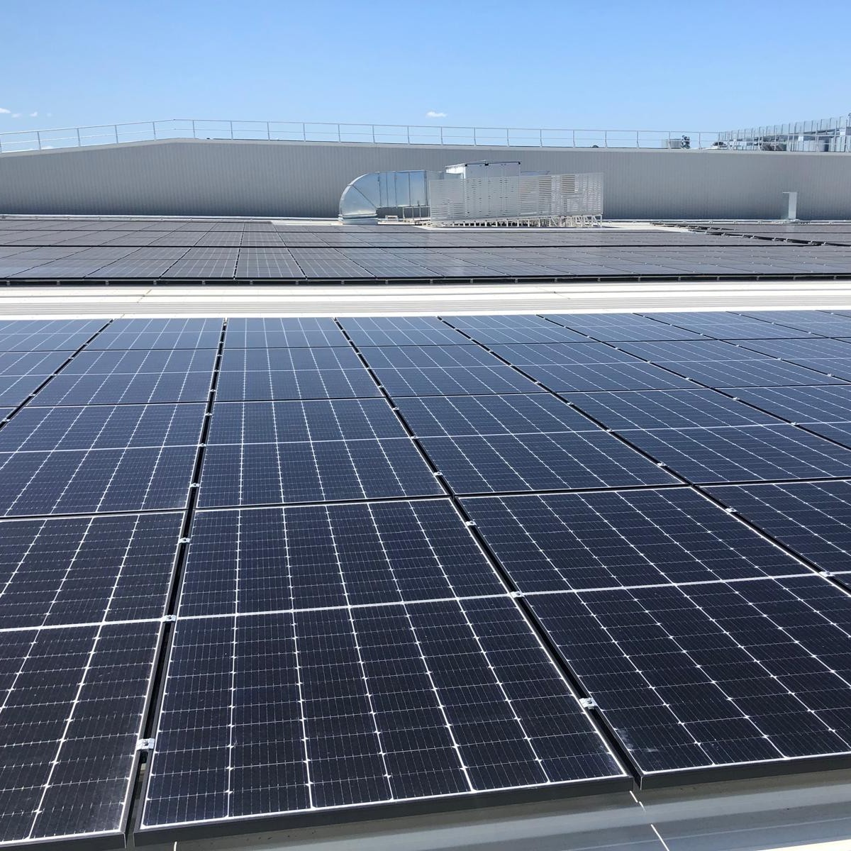 Frucor Suntory electrical infrastructure